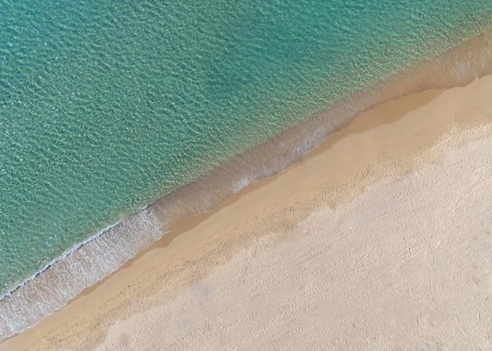 فندق Moon Palace